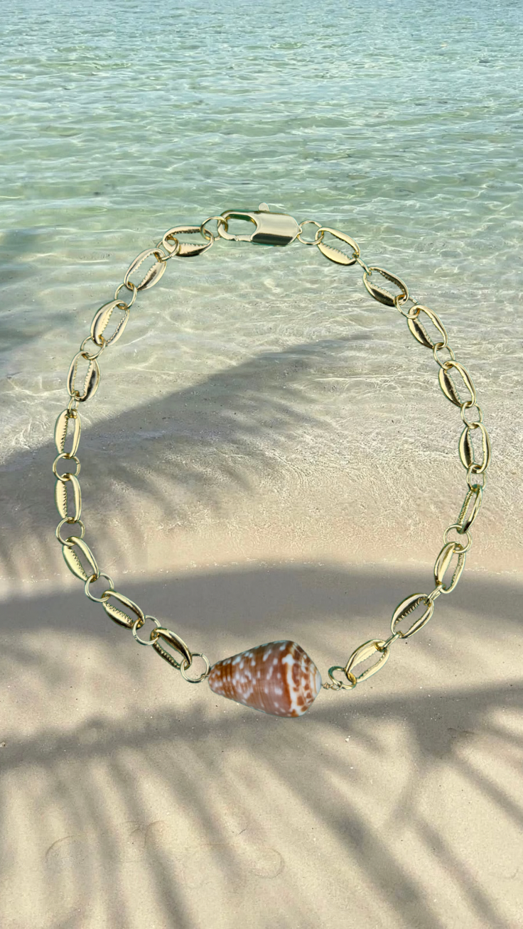 Sandbar cone