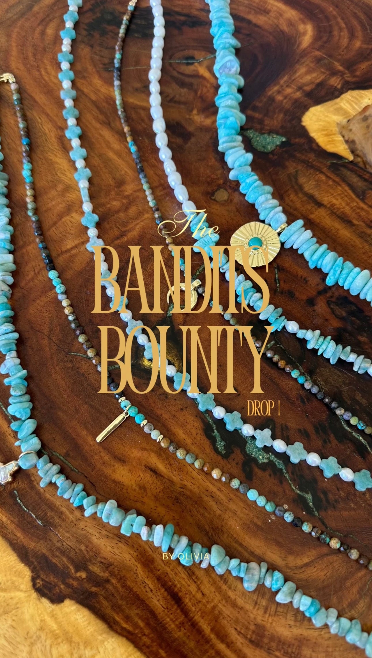 The Bandits Bounty