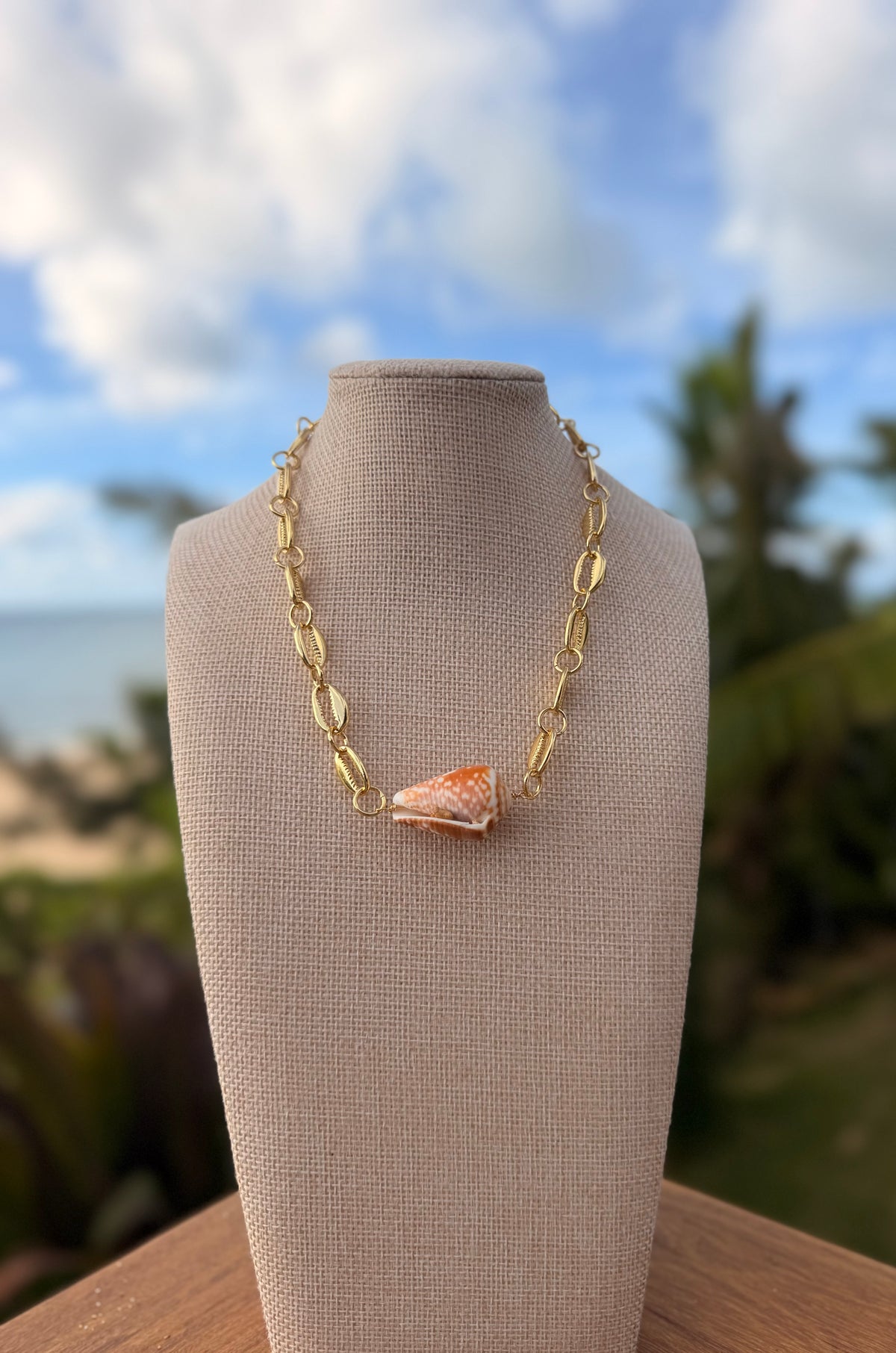Sandbar cone