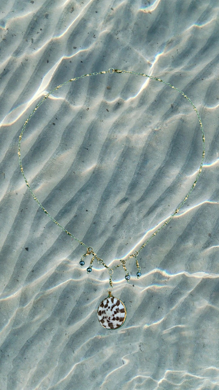 Saltwater Moon