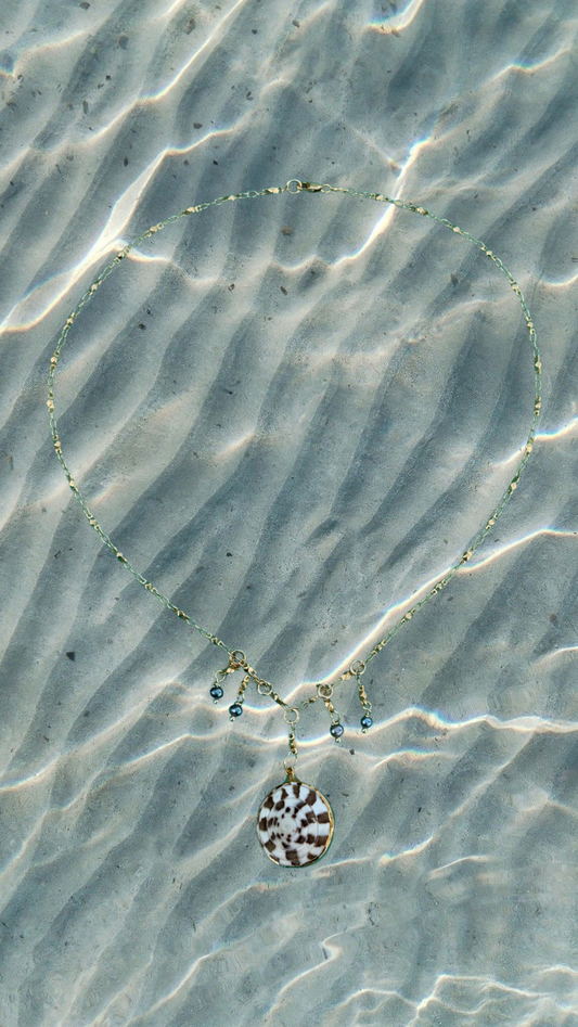 Saltwater Moon