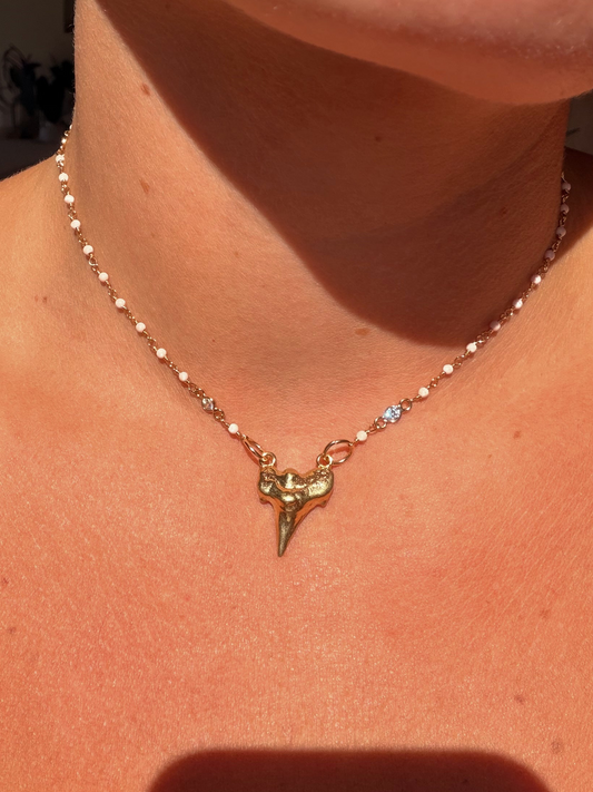 Shark Tooth Necklace