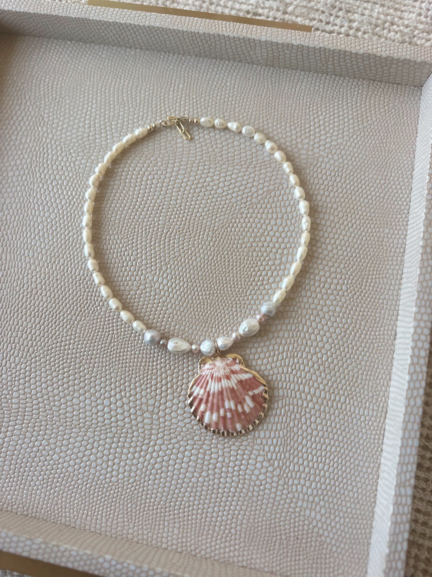 Rosy Reef