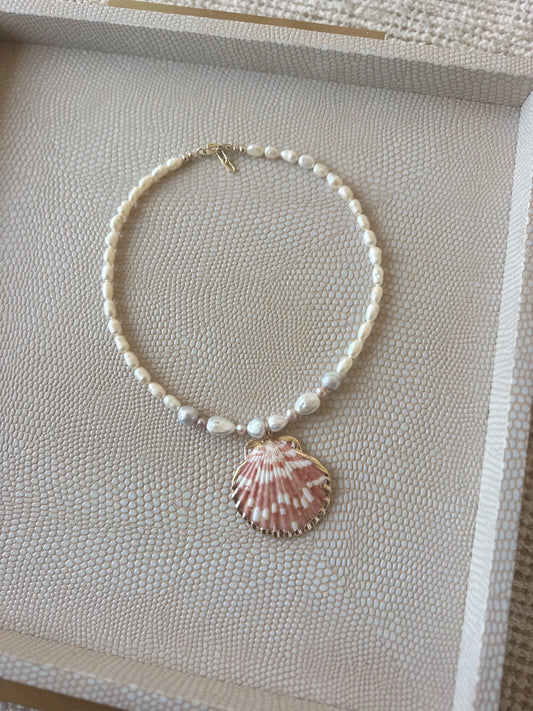 Rosy Reef